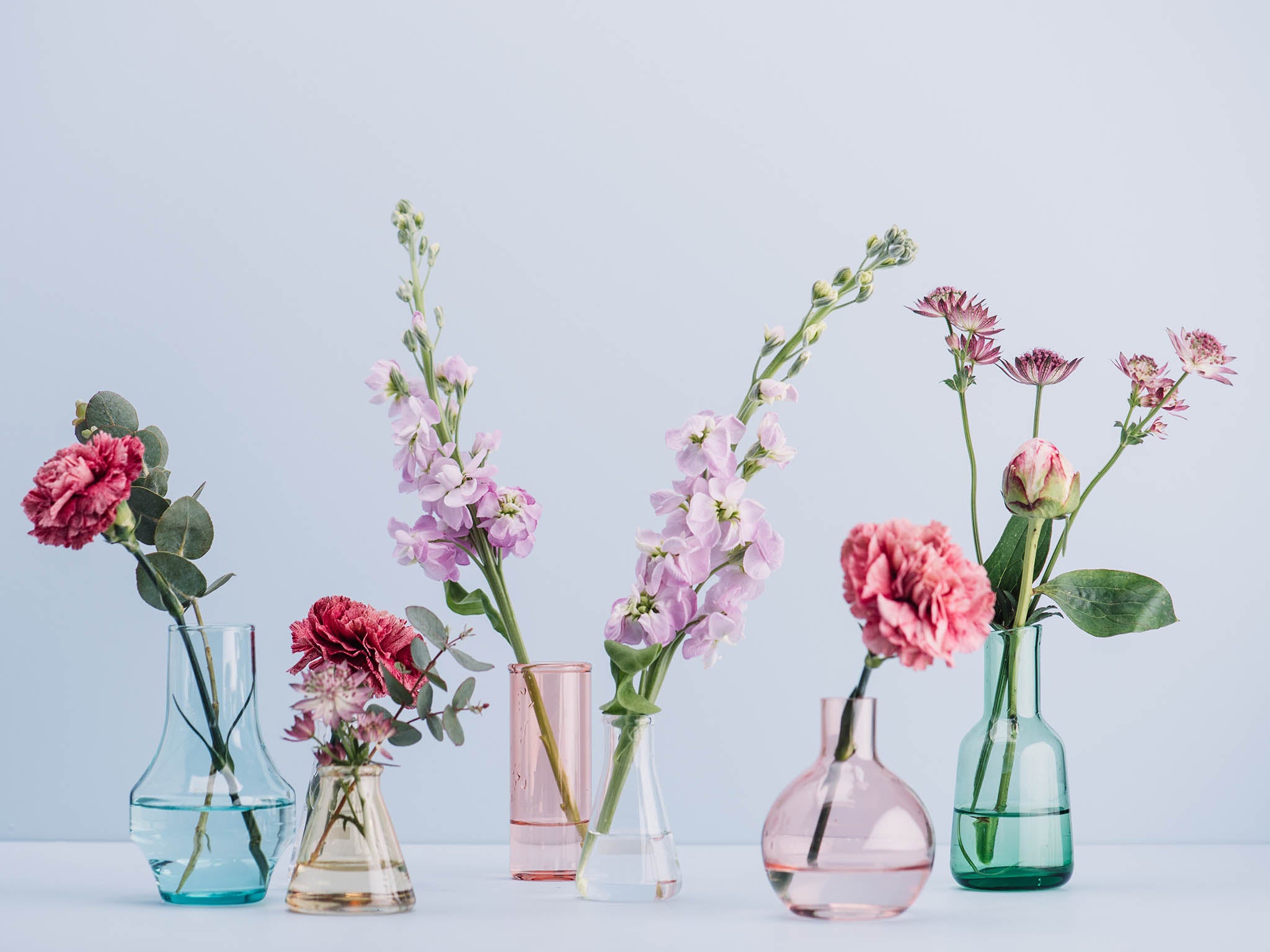 vases flowers istock